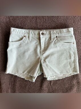 Carve Designs Light Mint Frayed Hem Denim Shorts